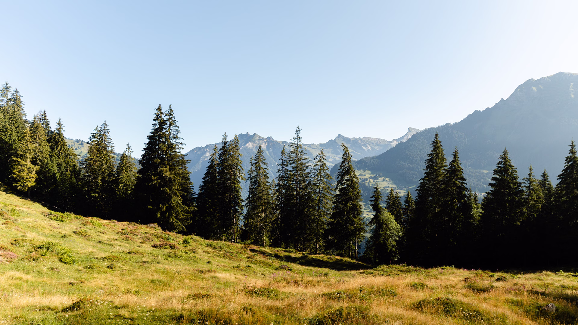 Mürren - Panorama Ride – image 3