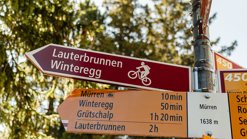 Next Destination: Winteregg – image 2