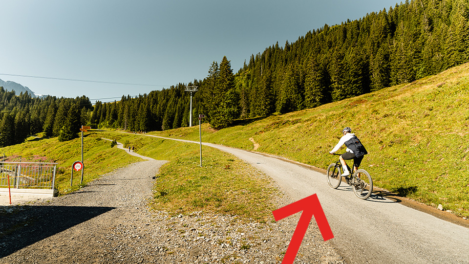 On the way back – image 1